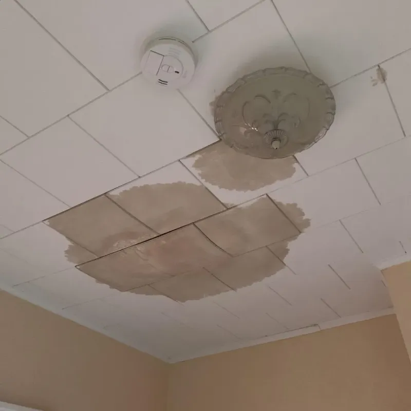 Ceiling Water Damage Repair in Claysburg, PA