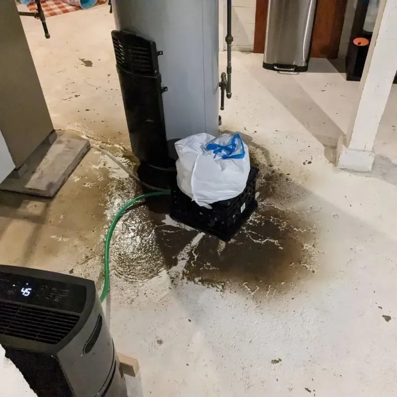Sewage Backup Cleanup Service in Claysburg, PA